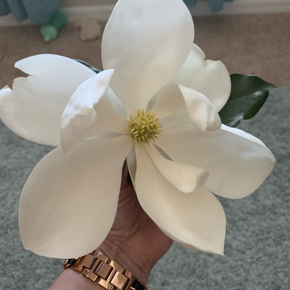 Meet your Posher, Yvonne - Picture 1 of 1